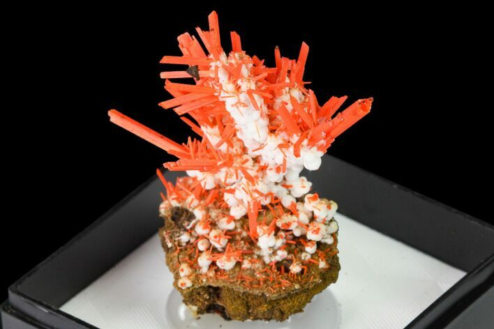 Bright Orange Crocoite With Gibbsite - Tasmania #171659